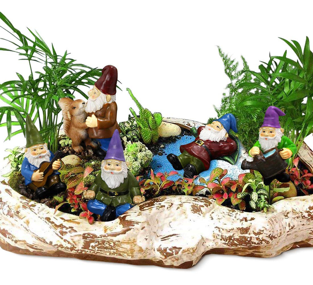 FANWNKI gnome playing guitar close-up, highlights hand-painted resin texture and musical charm