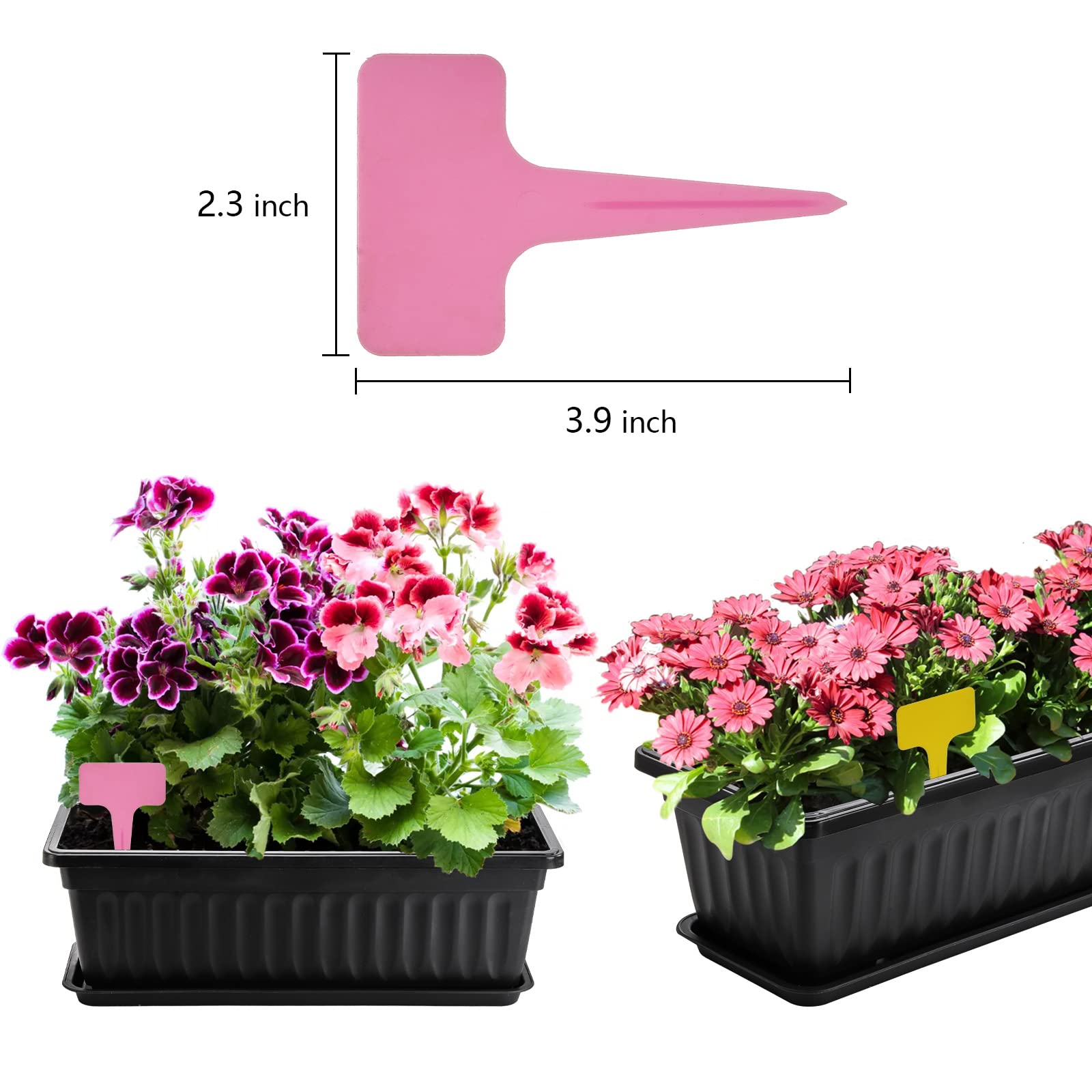 Fasmov assorted plant labels included for quick identification