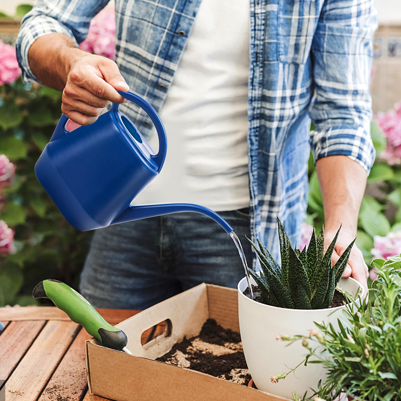 Fasmov next to small potted plant to show size and scale advantage