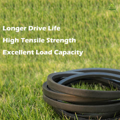Faugcol belt laid beside a ruler showing length and profile for easy verification of correct size