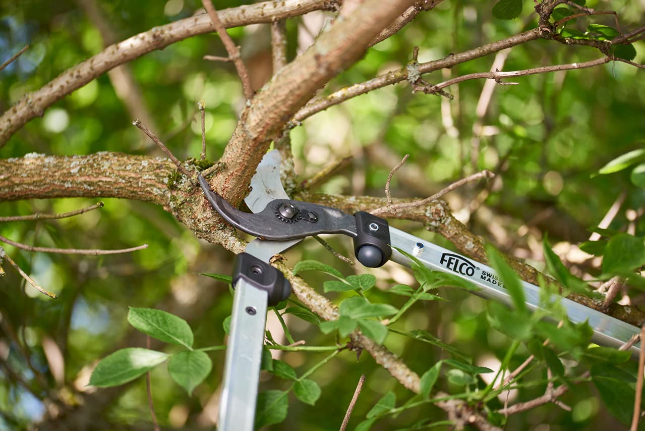 FELCO F211-60 close-up of blade and micrometric adjuster for precise maintenance