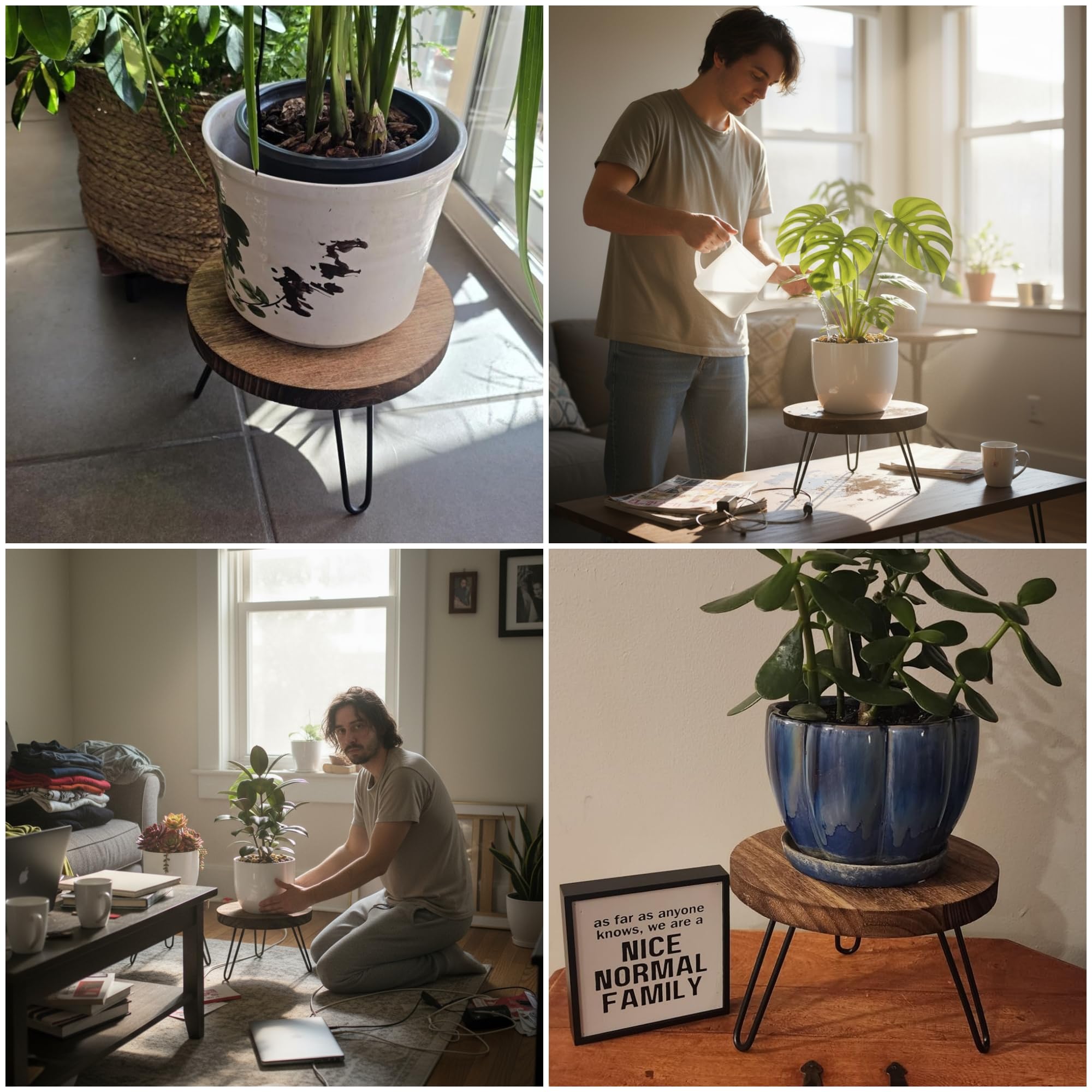 FESTLOVE living room display with Monstera showing elevated plant styling advantage