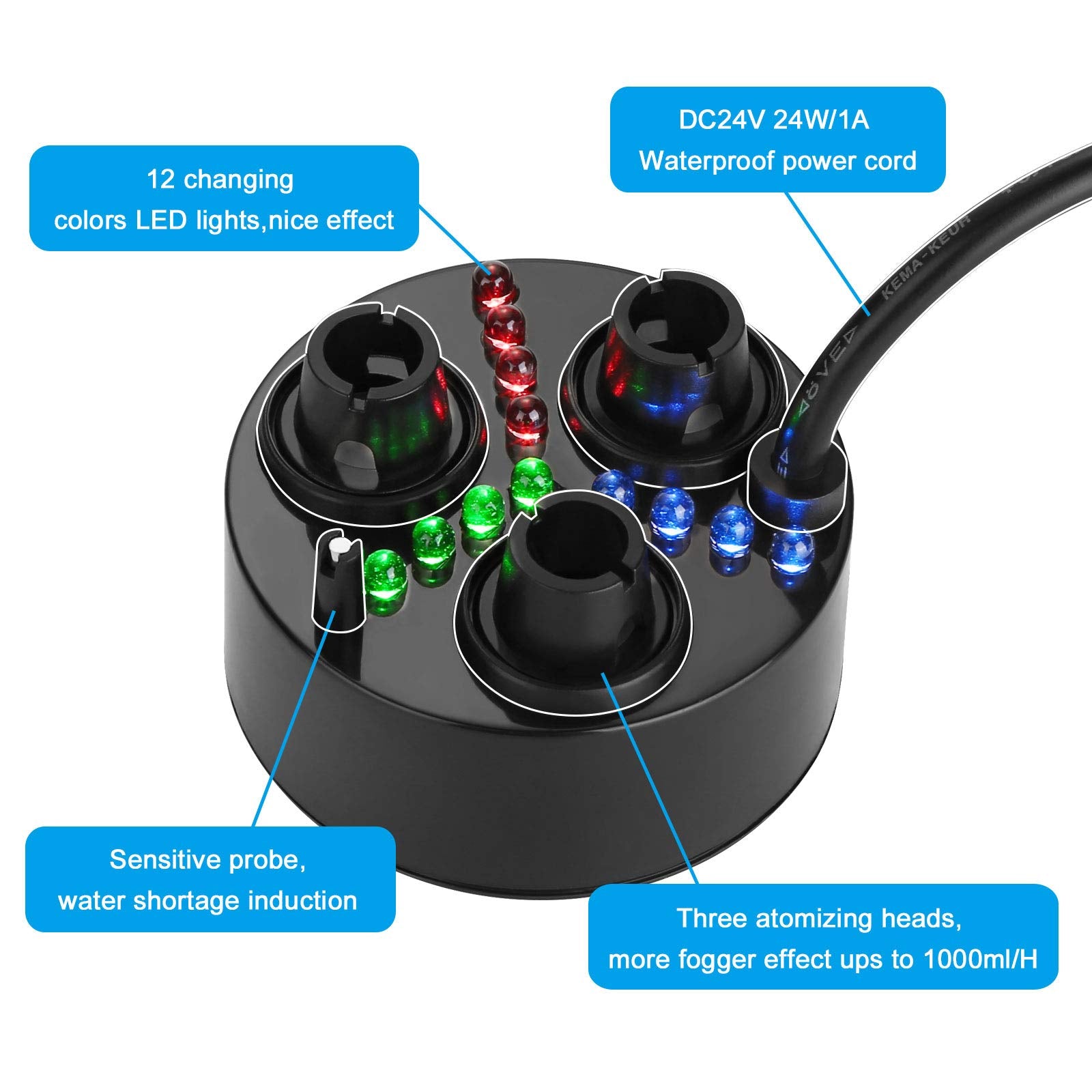 FITNATE in a decorative setting with lights and fog, ideal for events