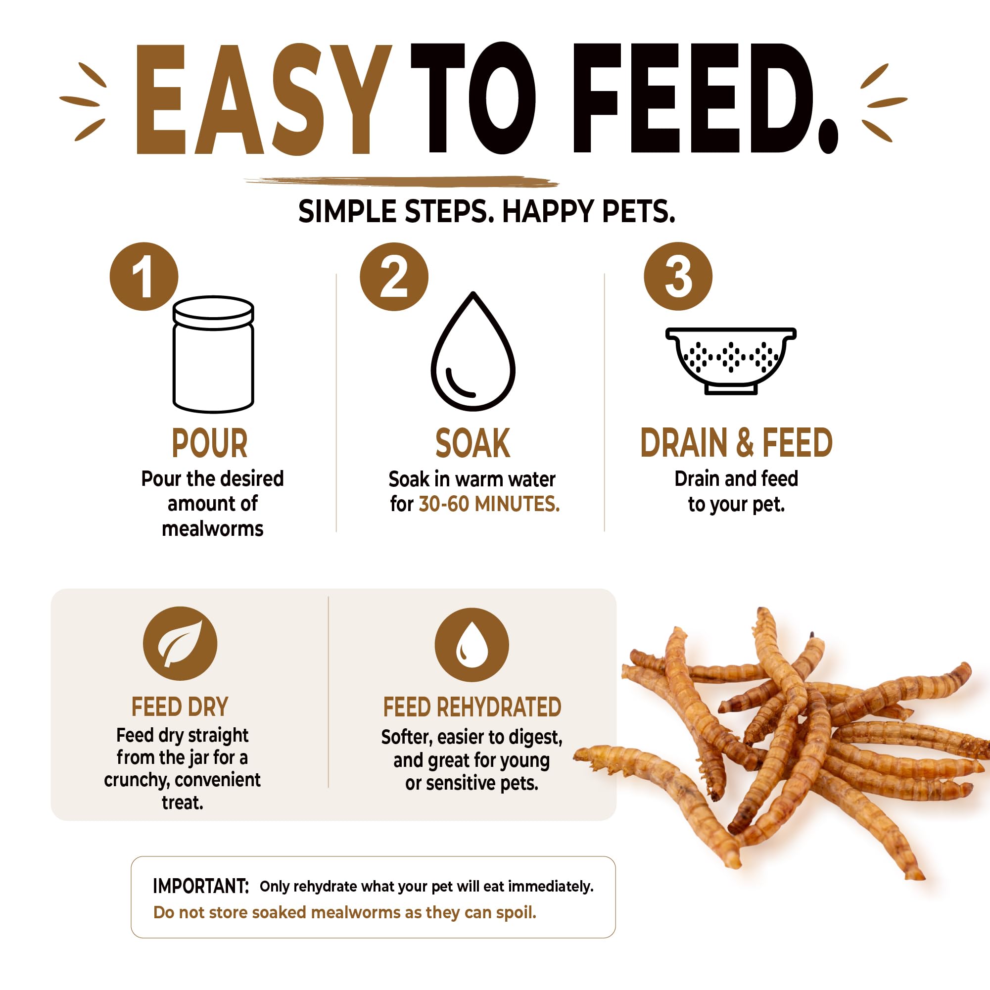 Five-Star Feeders bearded dragon eating mealworms, provides variety and enrichment