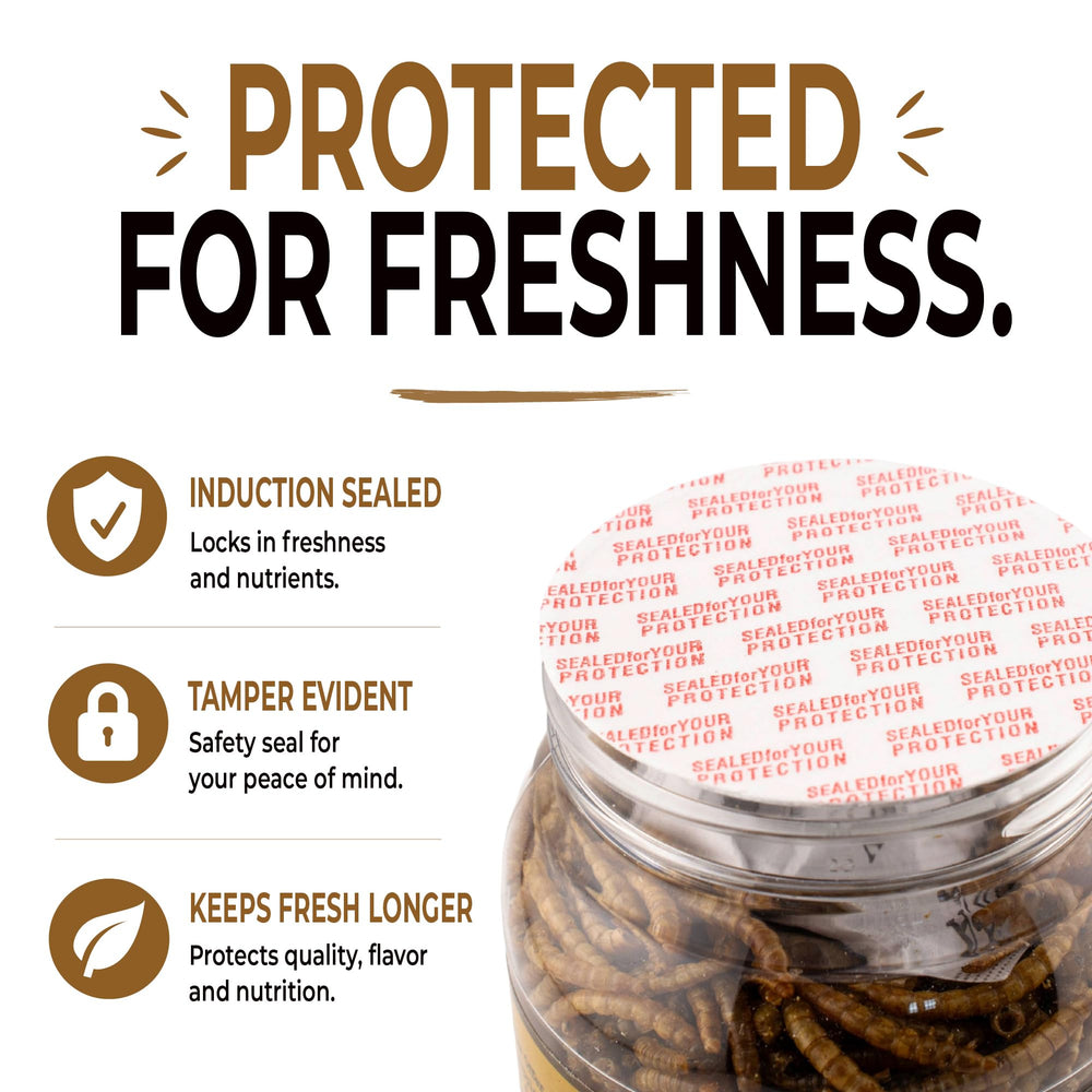Five-Star Feeders mealworms on spoon next to jar for size comparison, indicates portion control