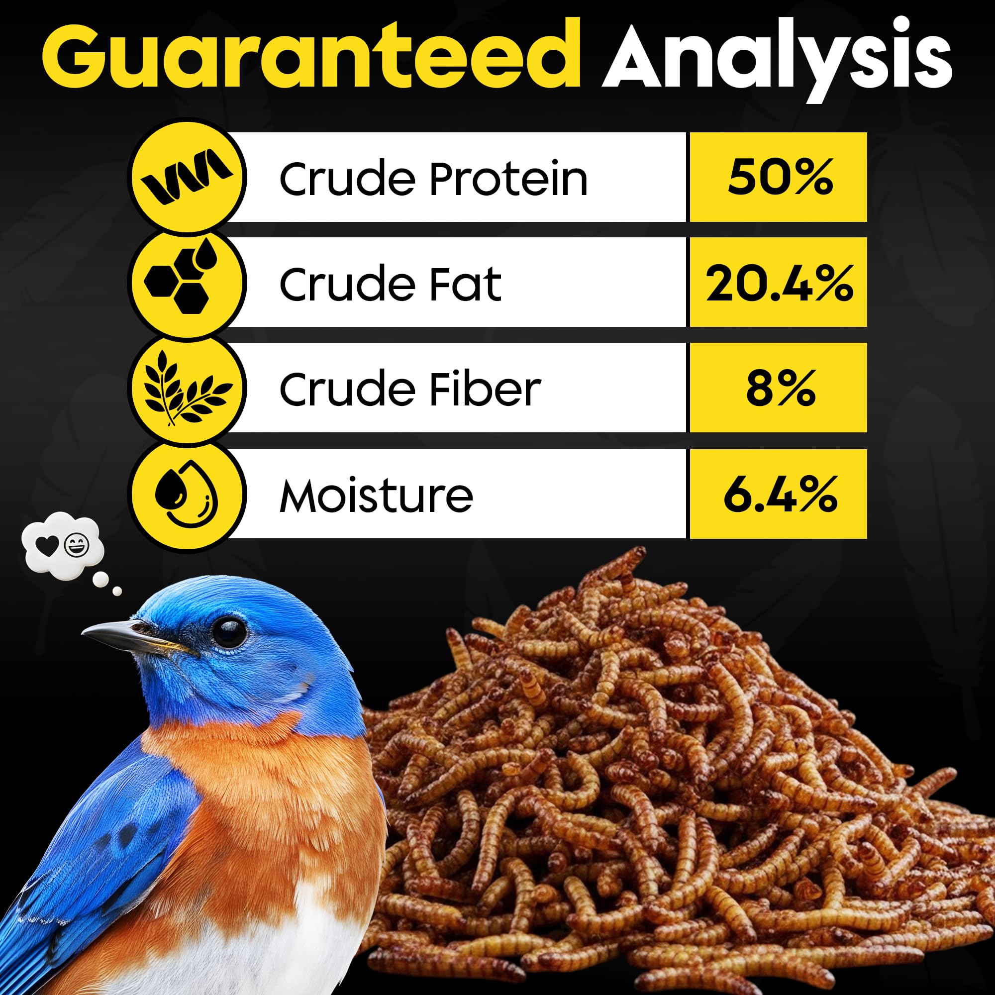 Flockin' mealworms in backyard scene promoting birdwatching activity