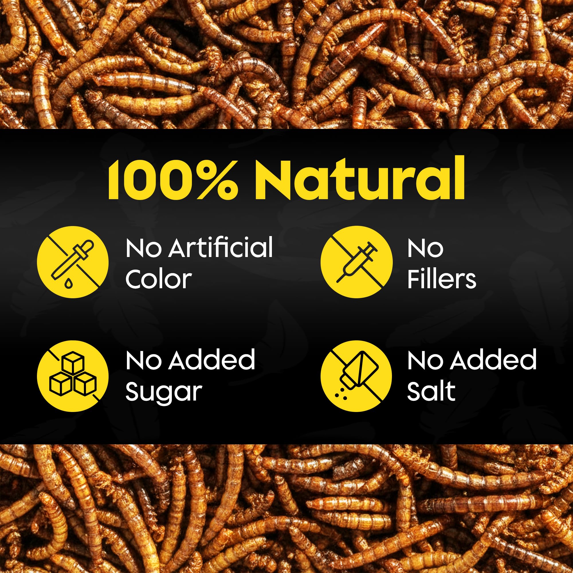 Flockin' mealworms in tray feeder attracting backyard birds
