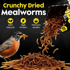 Flockin' mealworms scattered on lawn drawing ground-feeding birds