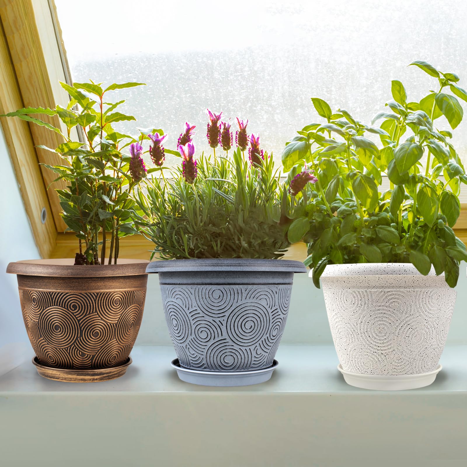 Fodetyff planters on a windowsill with plants showing decorative appeal