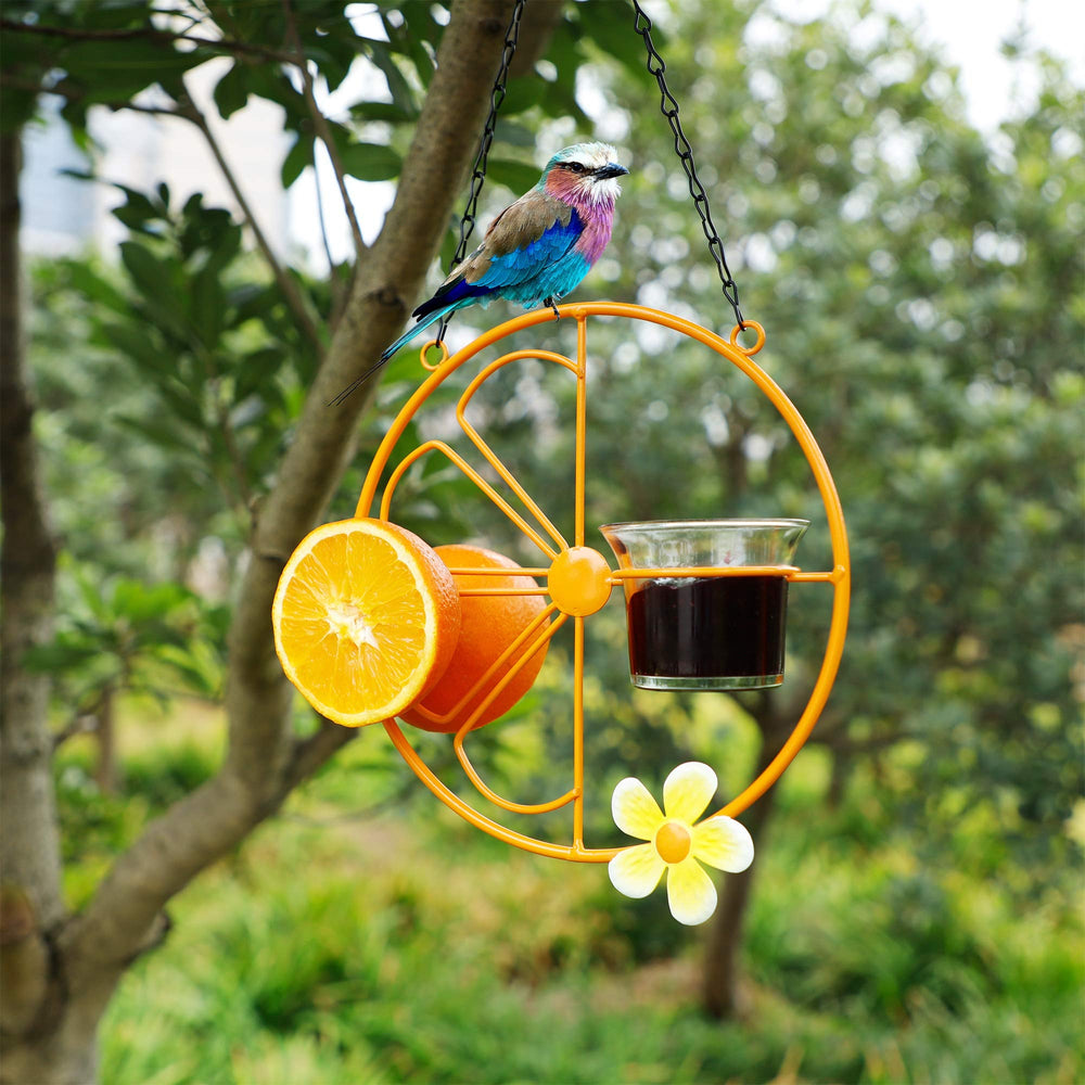 FORUP feeder with halved orange and jelly demonstrating food display