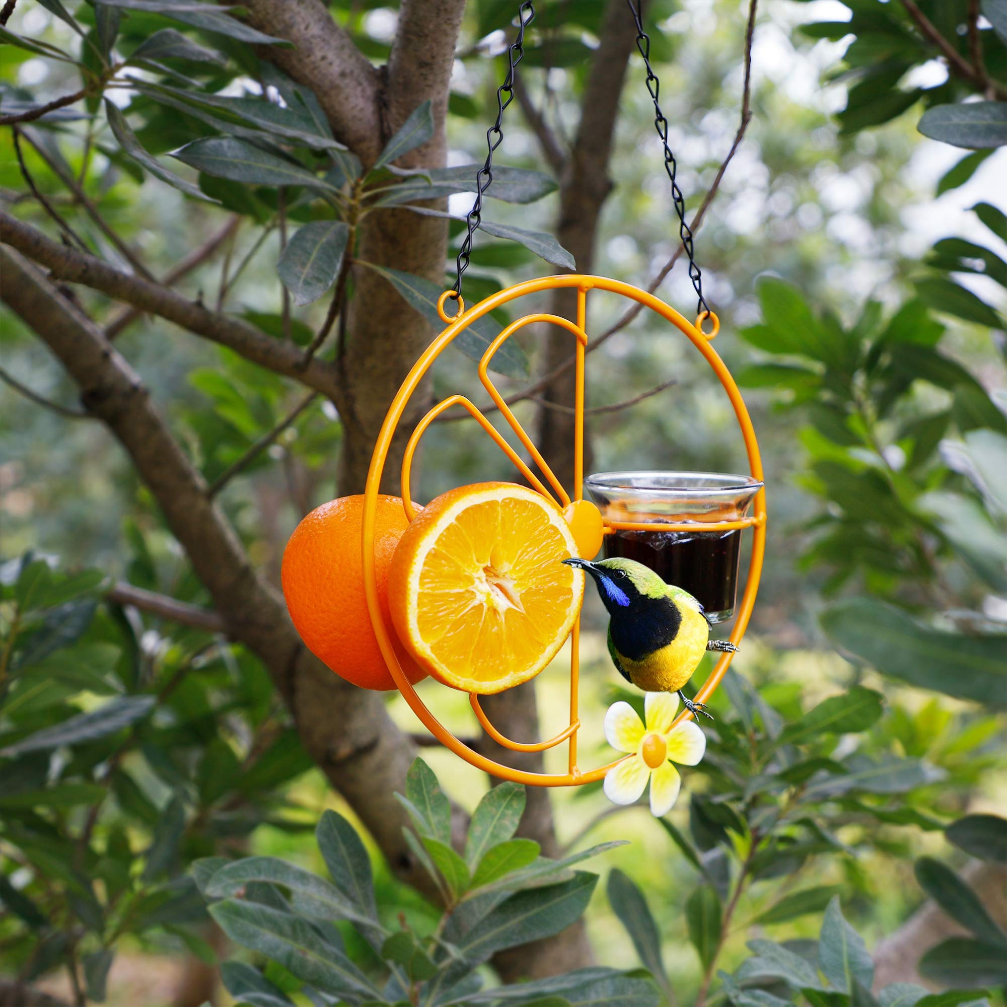FORUP feeder held in hand to show scale and easy hanging convenience