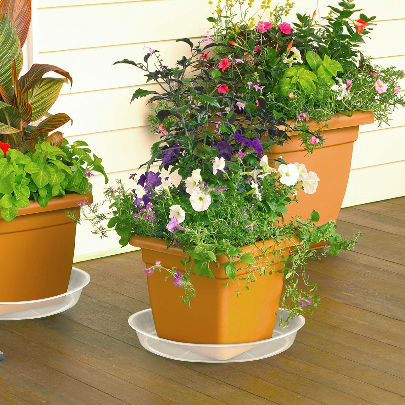 FUIJOL saucer beside ruler showing 12 inch diameter for correct pot fit