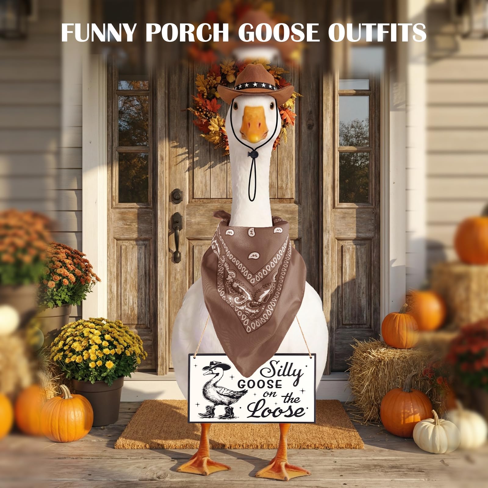 FunMular wooden sign on goose creates playful curb appeal