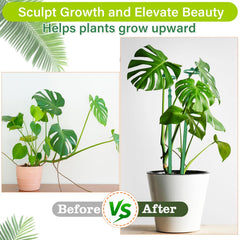 GAGINANG single stake extended in pot demonstrating adjustable height support