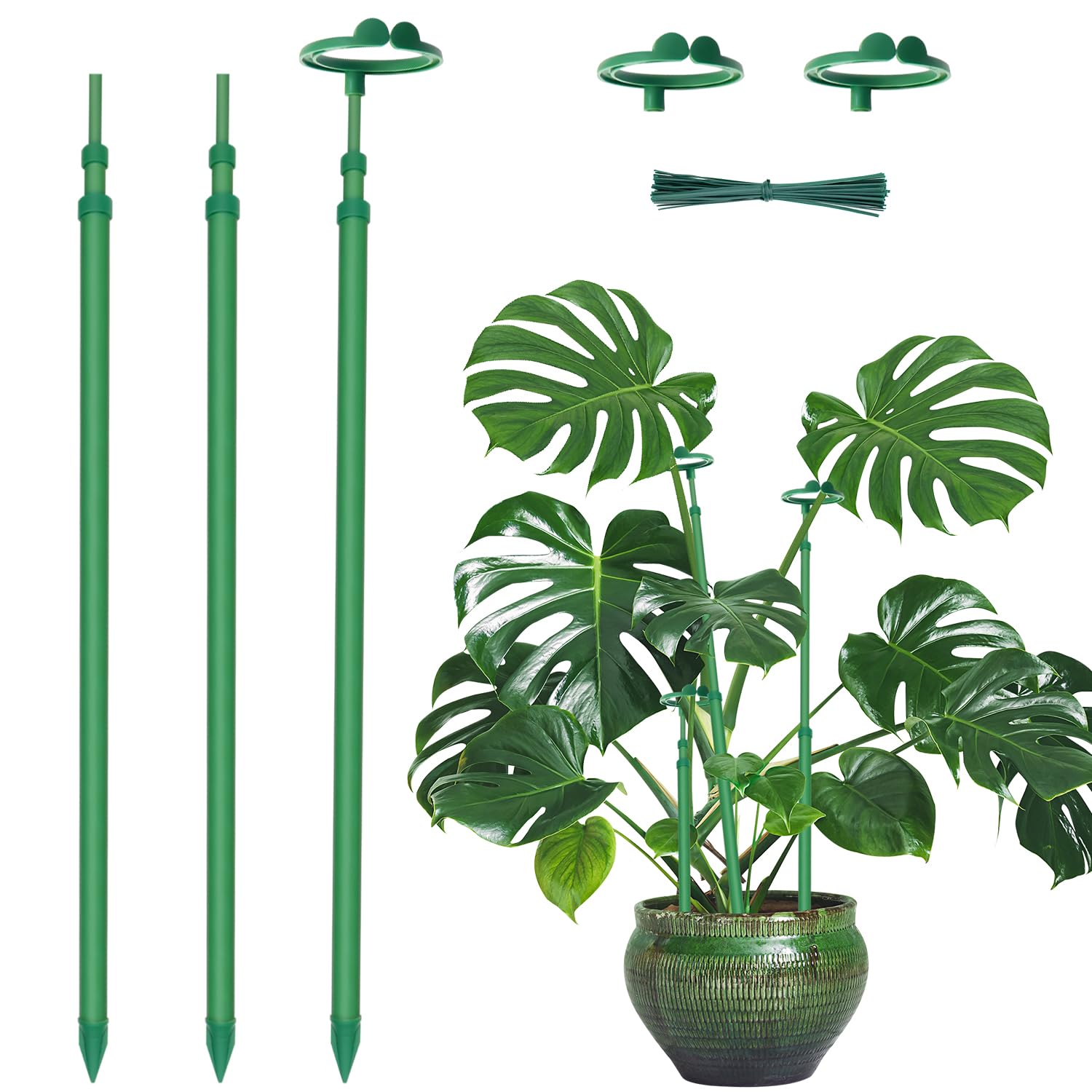 GAGINANG front view of three extendable stakes showing packaging and benefits