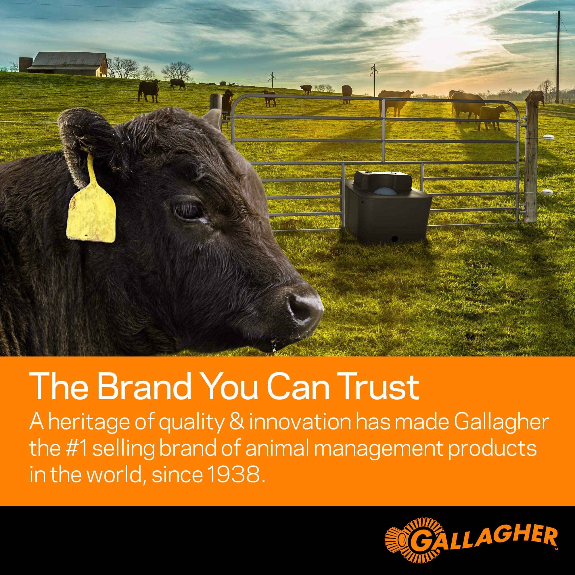 Gallagher S12 packaging and accessories showing included parts and ready-to-install benefit