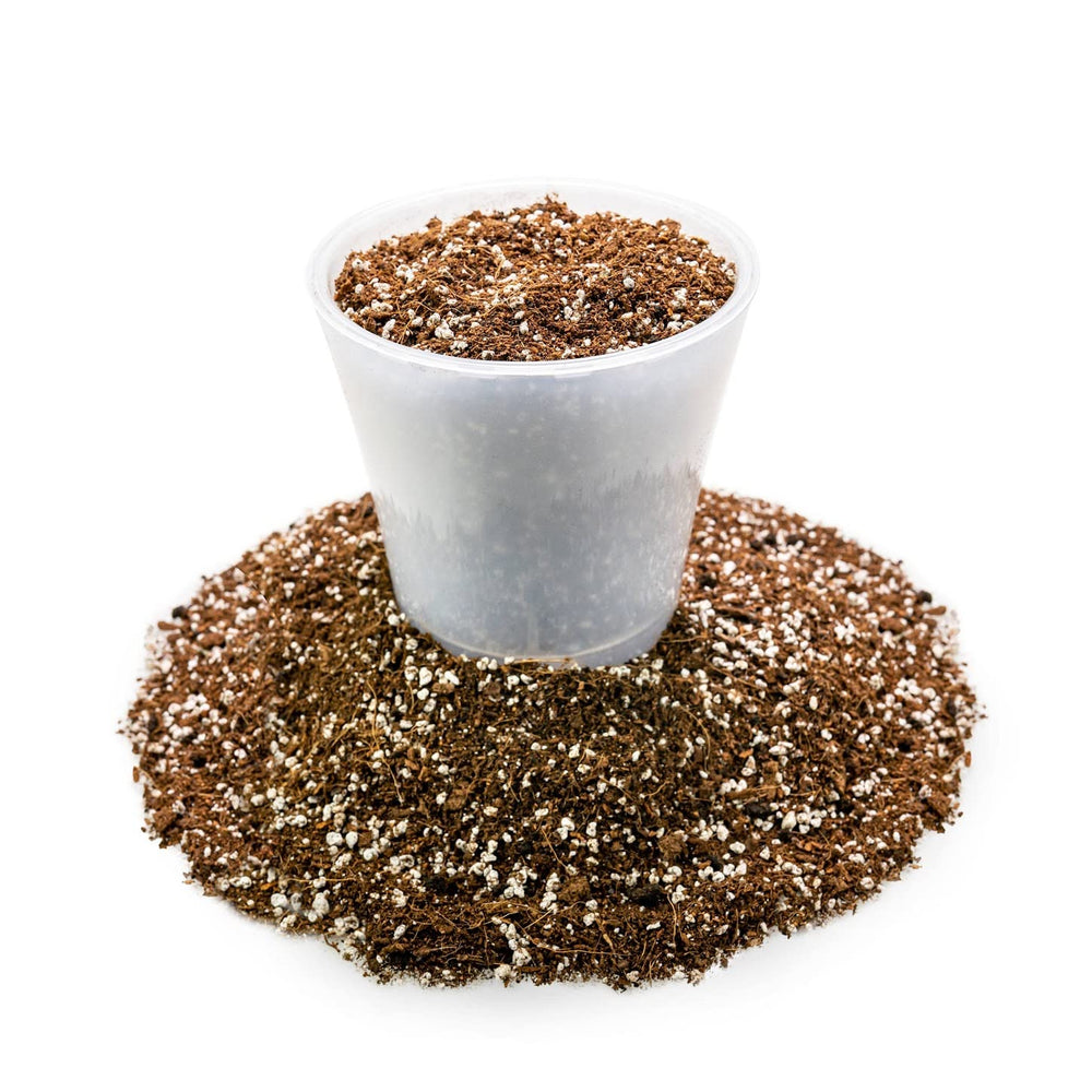 Gardenera used in a greenhouse tray with sundews - demonstrates practical cultivation benefit