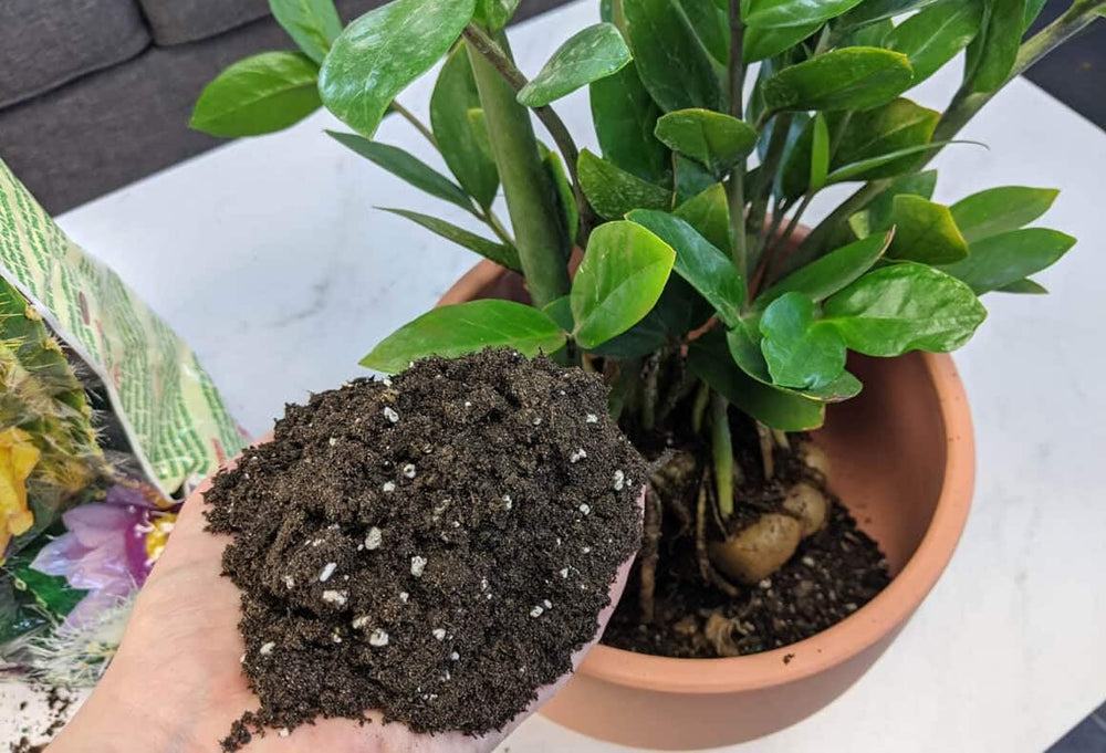Close-up of Gardenera mix texture showing peat, sand, perlite for superior drainage