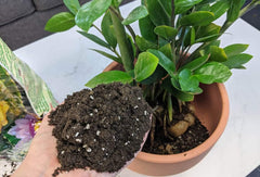 Close-up of Gardenera mix texture showing peat, sand, perlite for superior drainage