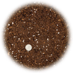 Close-up of Gardenera soil texture showing airy mix for better drainage