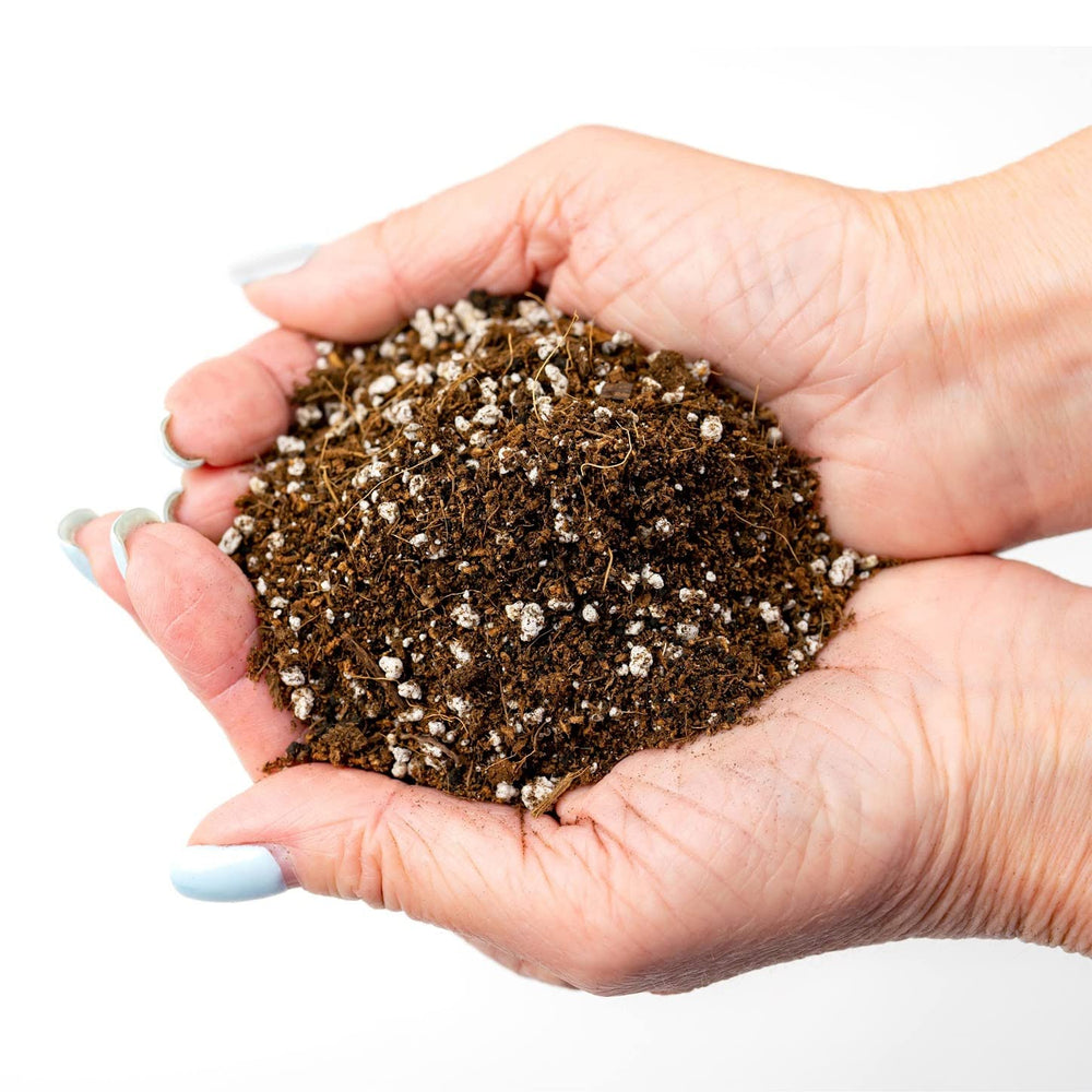 Gardenera root zone aeration detail showing perlite pockets - promotes oxygenated roots