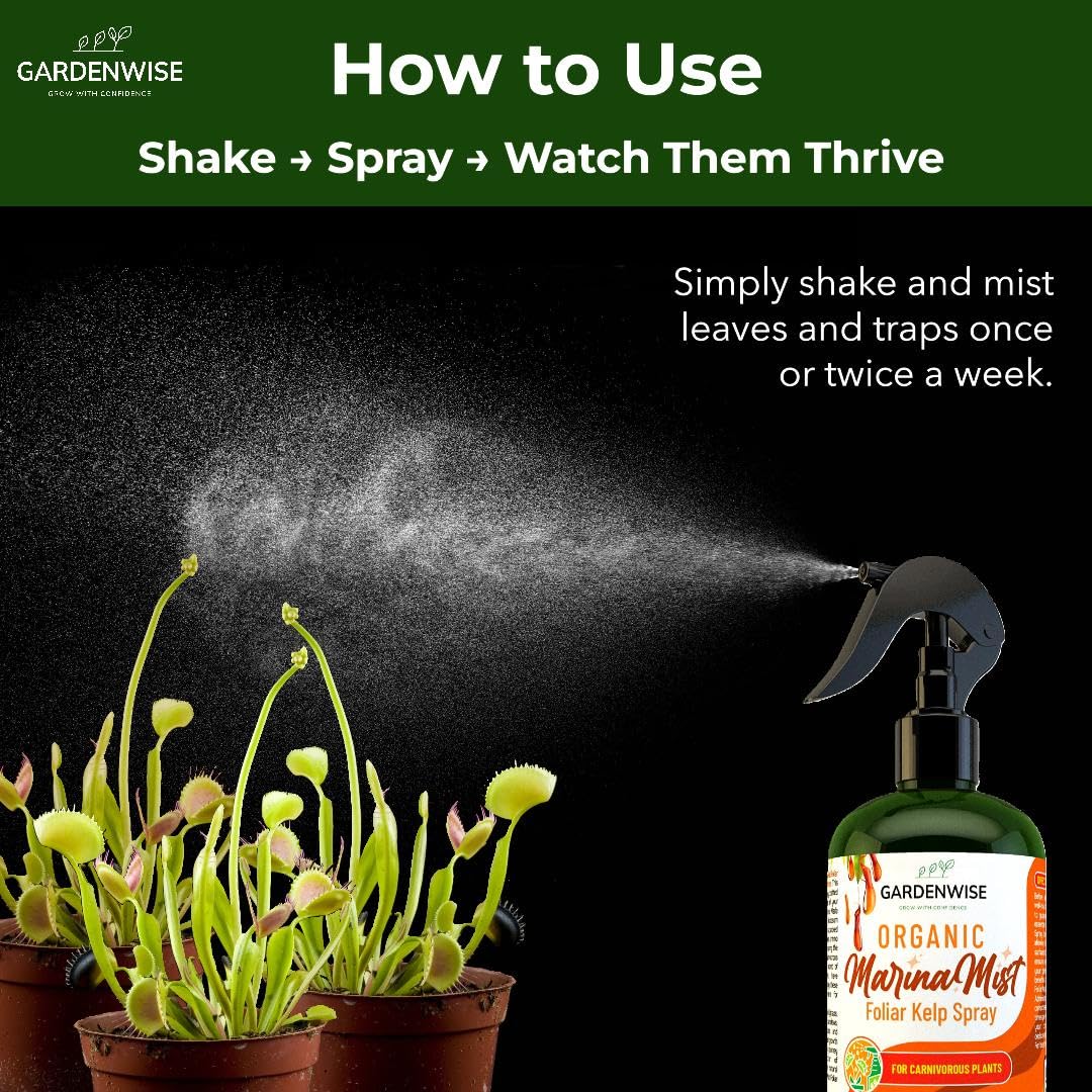 GARDENWISE being applied to a Venus flytrap promoting trap development