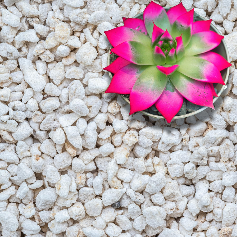 GARDENWISE perlite front bag showing product and volume benefits