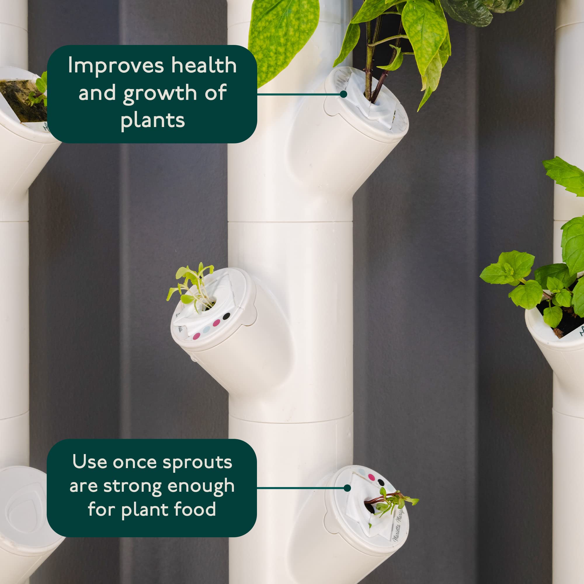 GARDYN yCover installed on yCube protecting seedling and reducing surface growth