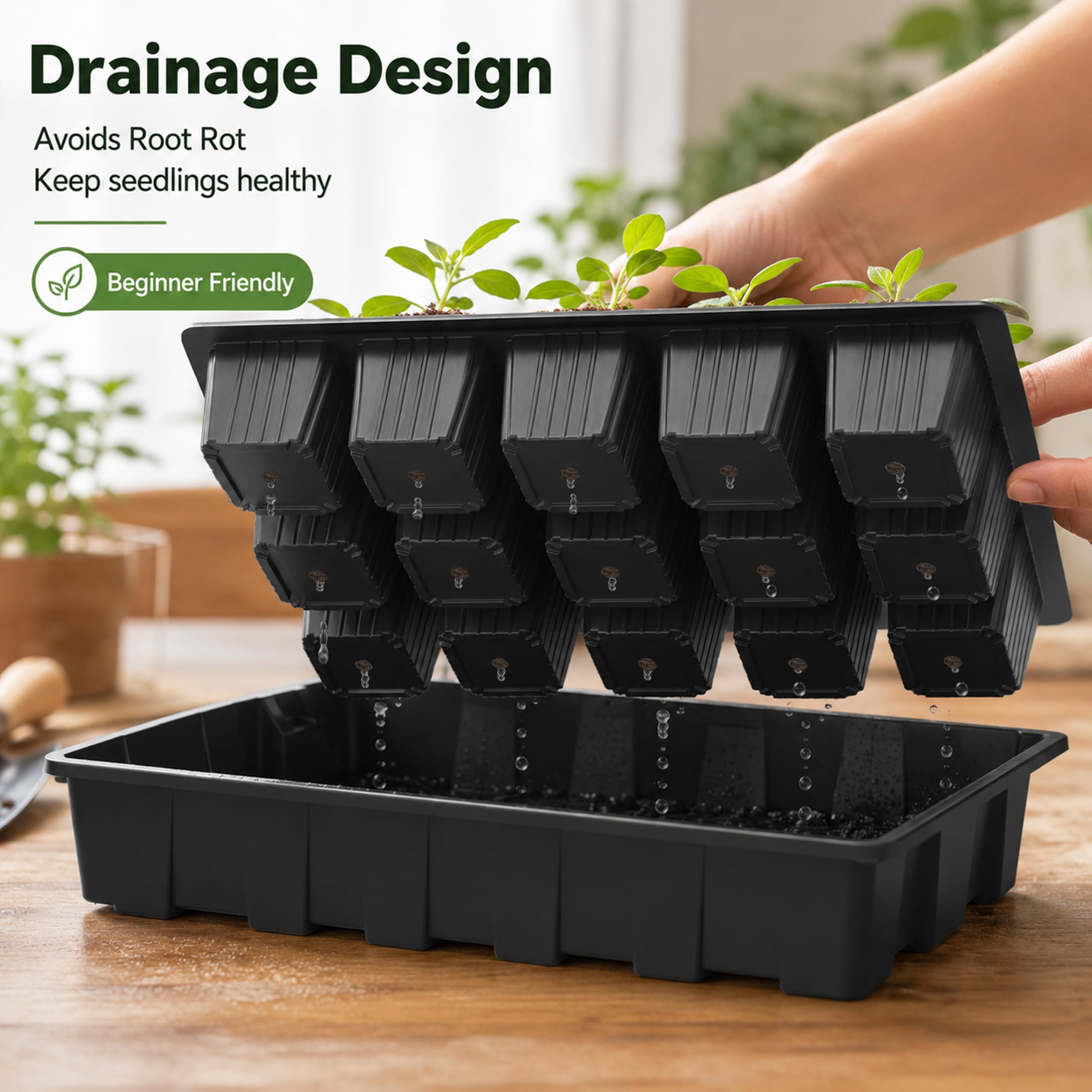 Gardzen trays in use on windowsill promoting healthy indoor germination