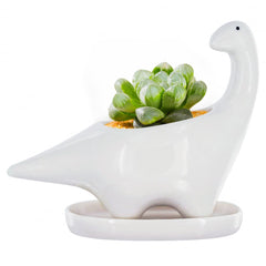 GeLive dinosaur planter front view showing clean white porcelain and charm