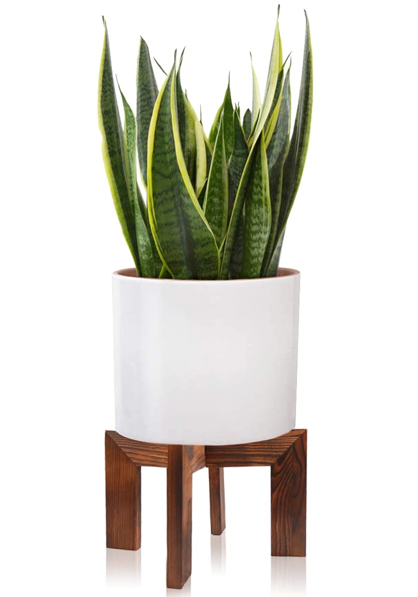 Gendral Forwepup front view of wooden plant stand elevates pots safely