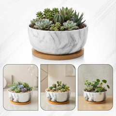 Generic pastel marble top-down view displaying wide 8-inch bowl and planting space