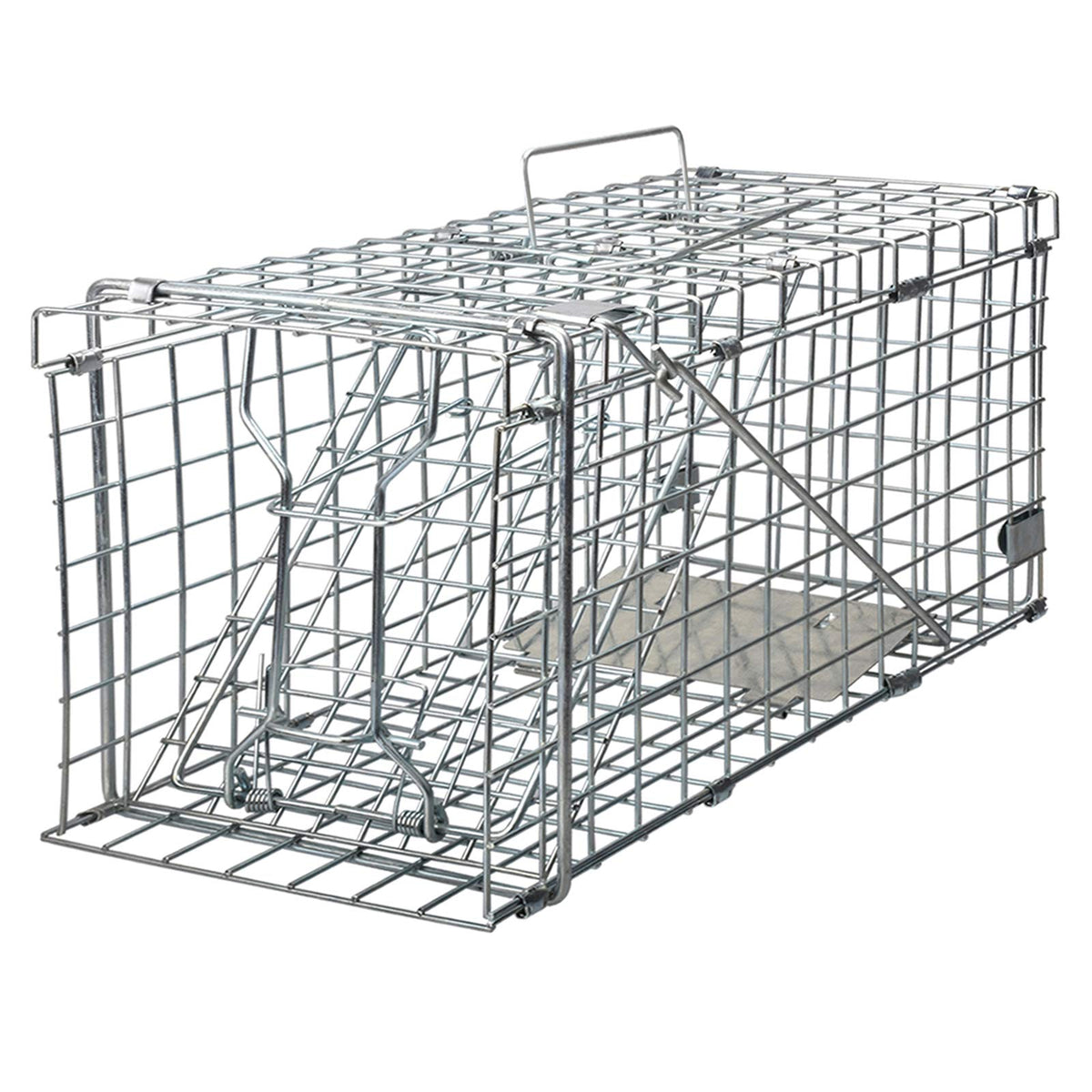 Gingbau front view open cage showing entry and secure mesh benefit humane capture