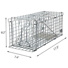 Gingbau placed in garden capturing natural behavior and discreet, effective trapping