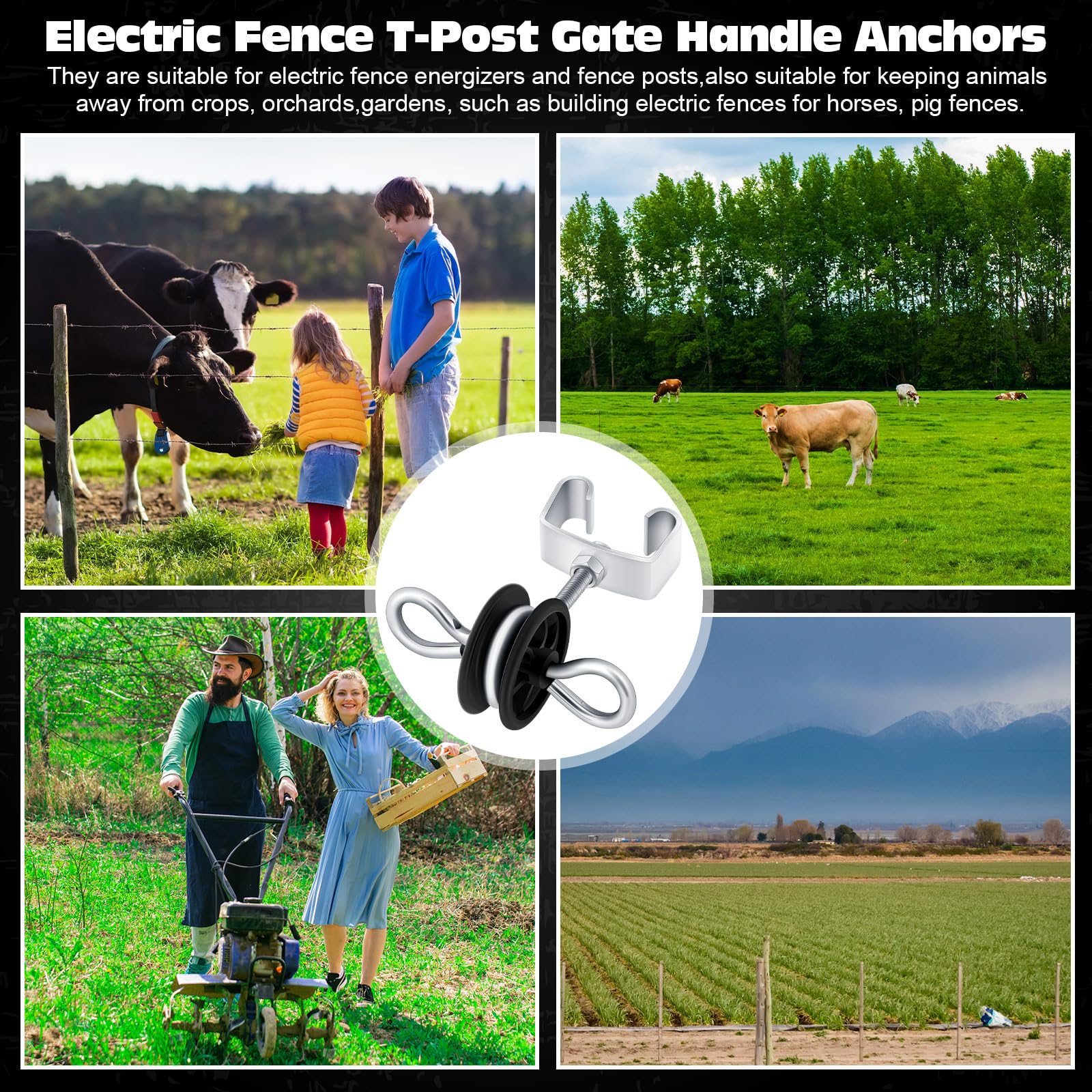 Gisafai in backyard fencing scene illustrating versatility and tidy electric gate setup