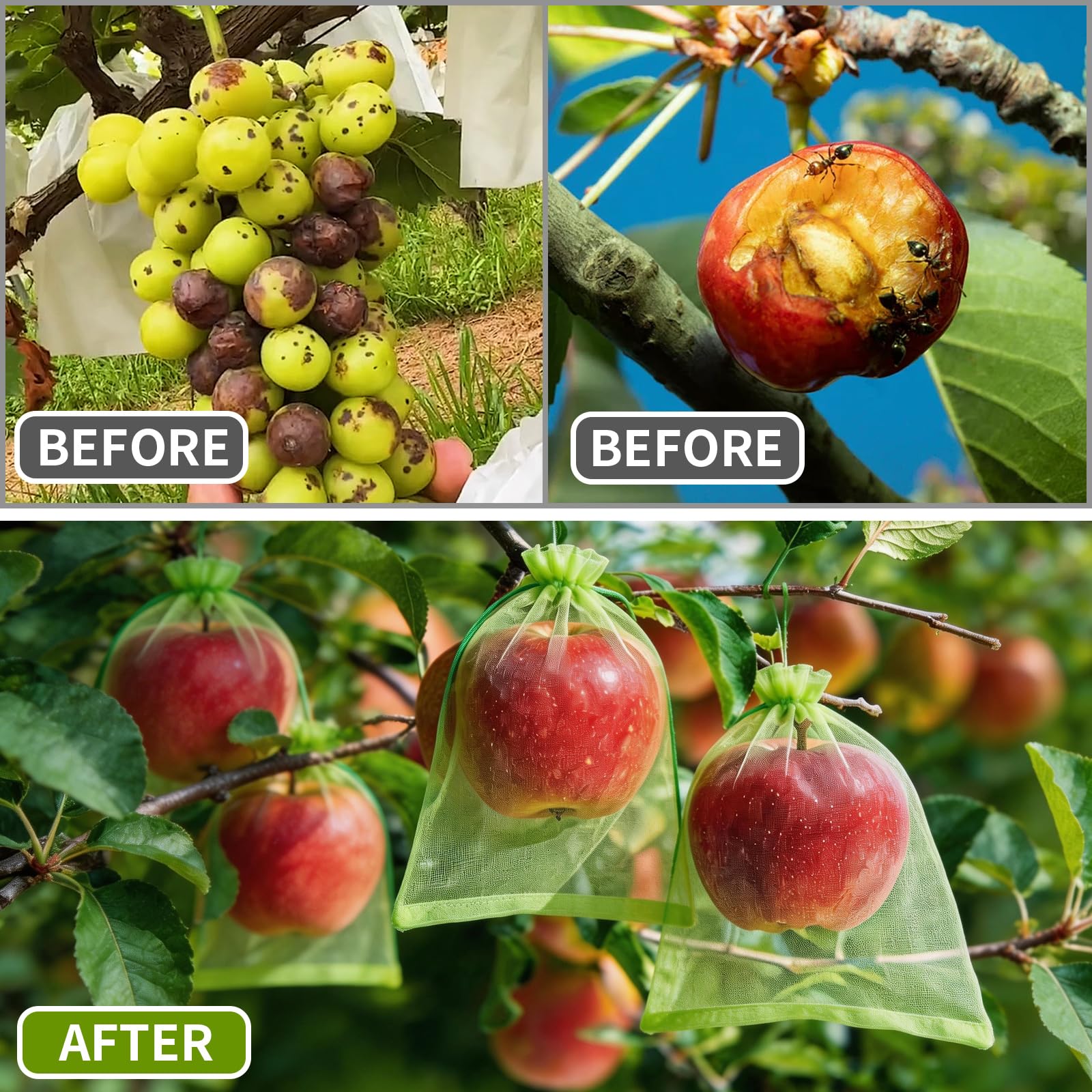GliSun bags installed in garden setting protecting tomatoes and berries