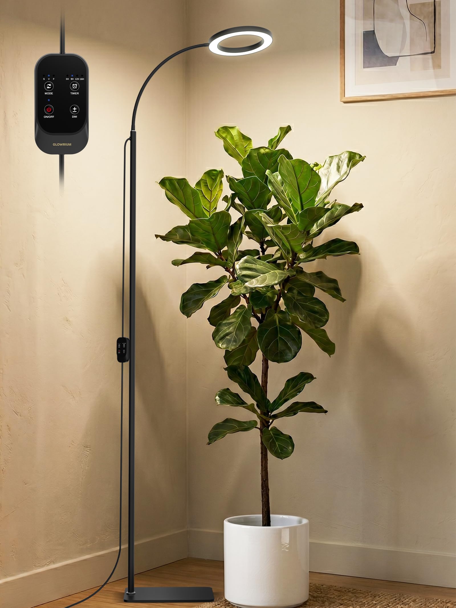 GLOWRIUM front view with stand showing stable base benefit