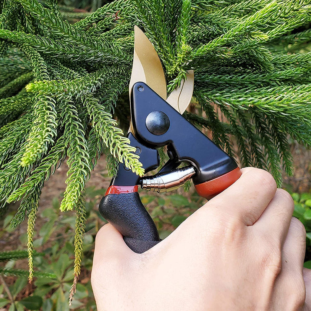 gonicc shears next to ruler for scale to highlight cutting capacity benefit