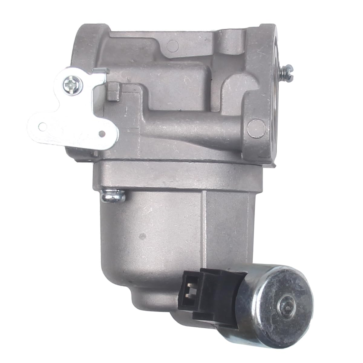goodbest carburetor next to tools showing scale and straightforward installation