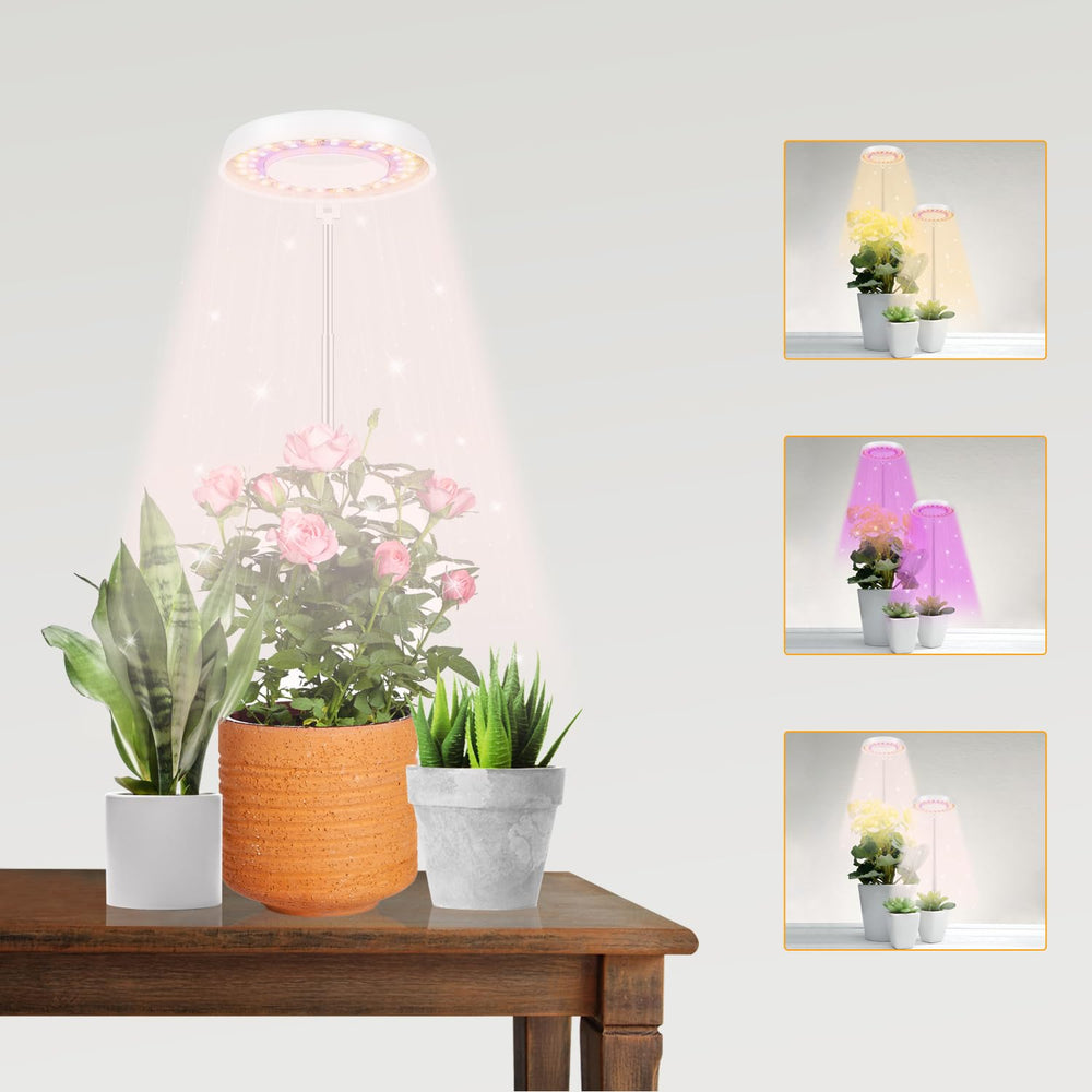 GooingTop Halo front view showing compact lamp and stake, ideal for small pots