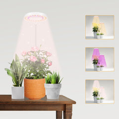 GooingTop Halo front view showing compact lamp and stake, ideal for small pots