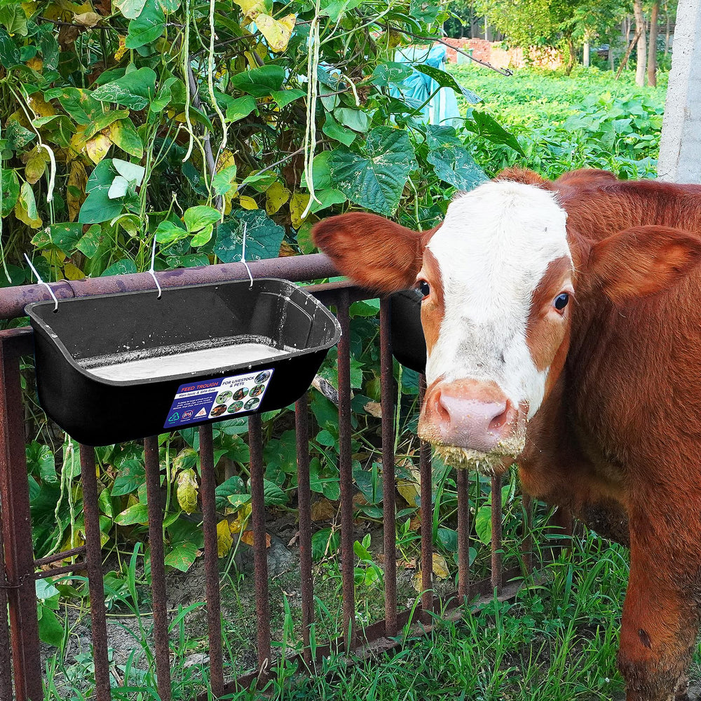 Goovilla next to a hand for scale illustrating generous size and suitability for livestock