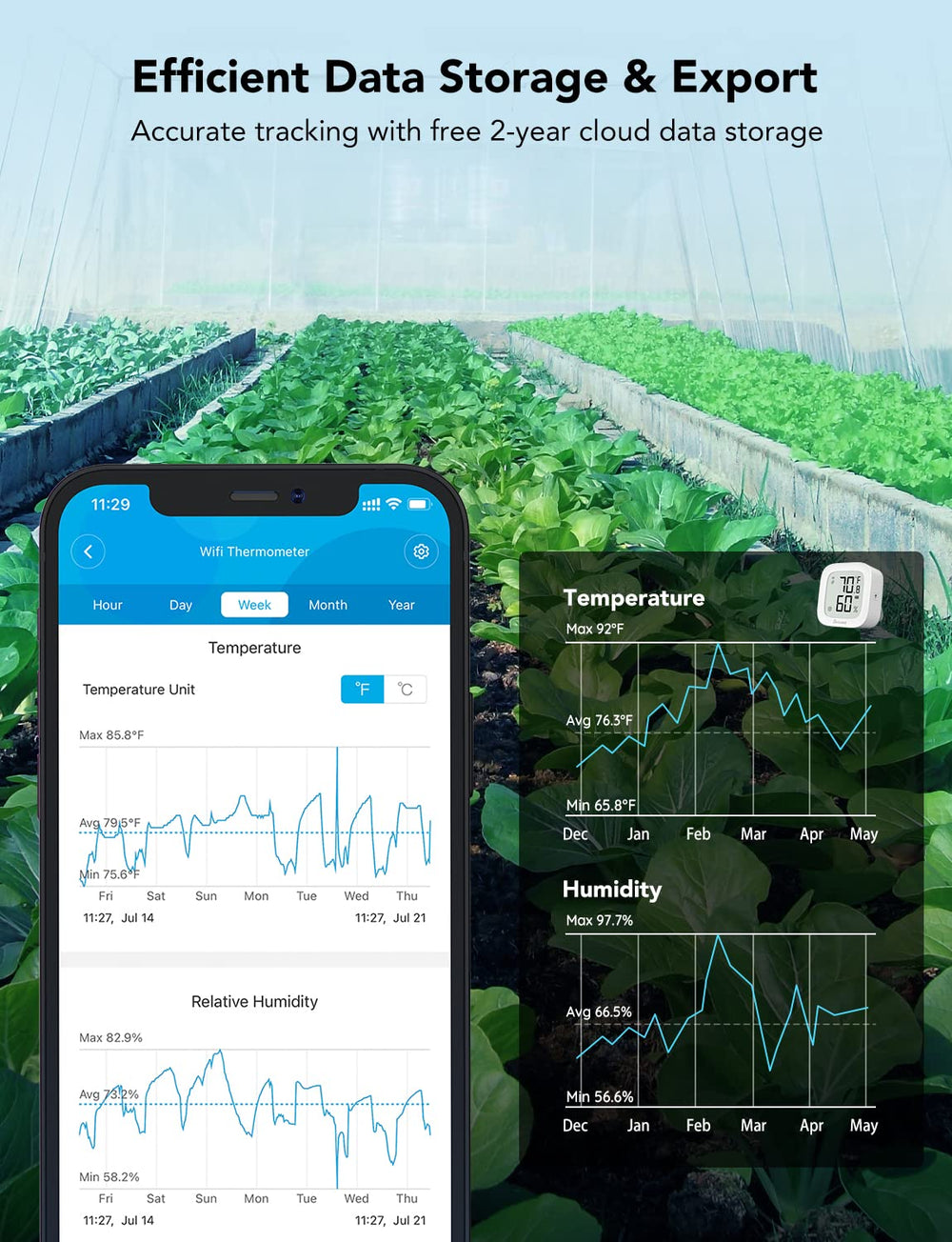 Govee placed inside a wine cellar maintaining cellar climate control for wine preservation