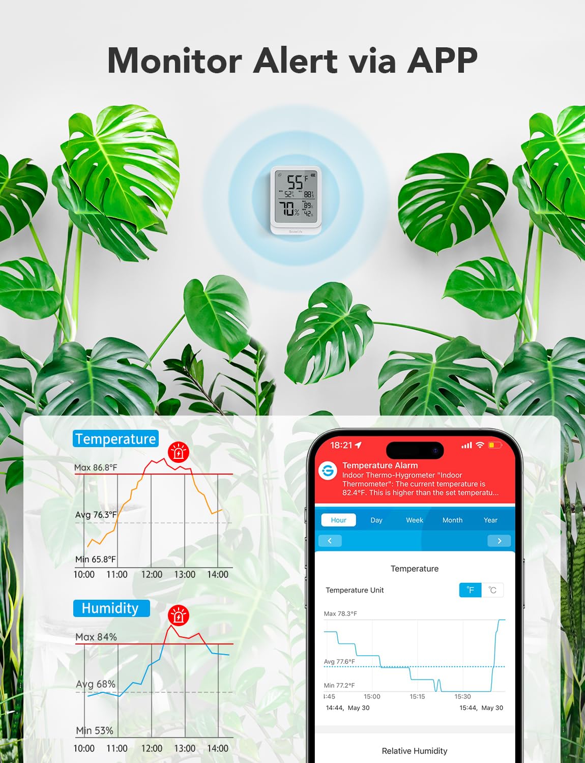 GoveeLife H5104 with phone app graph displaying exported data and alerts
