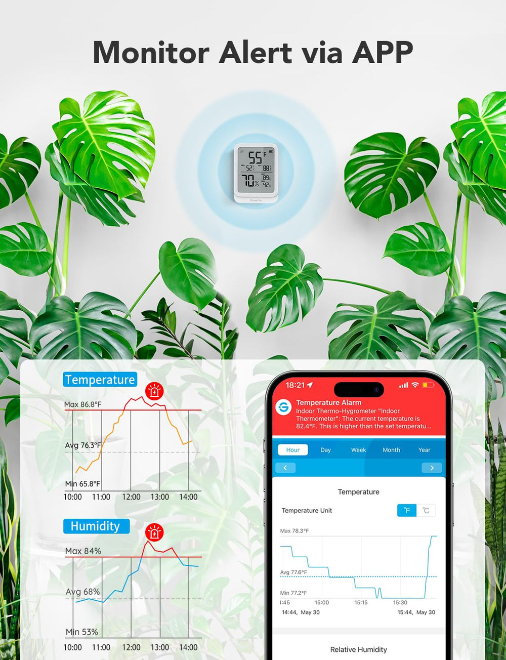GoveeLife H5104 with phone app graph displaying exported data and alerts
