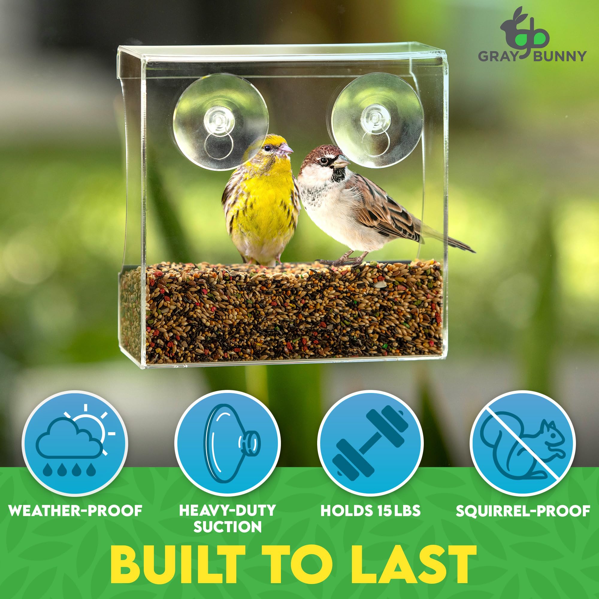 Gray Bunny feeder installed with small songbird feeding for safe up-close observation