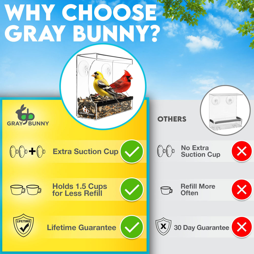 Gray Bunny feeder on glass beside everyday items to show compact size and scale