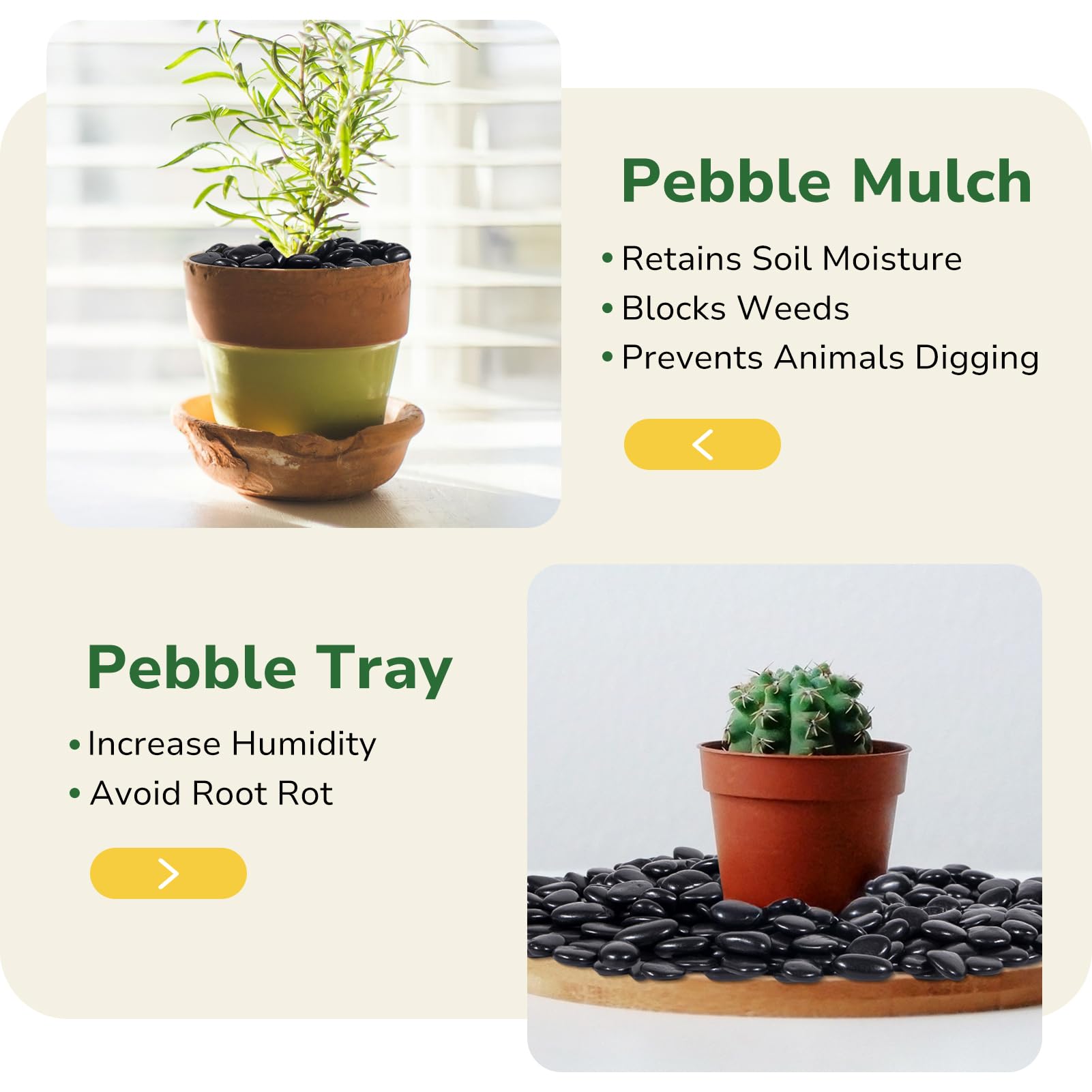 GreatBuddy pebbles laid on a small pathway offering stable walking surface and curb appeal