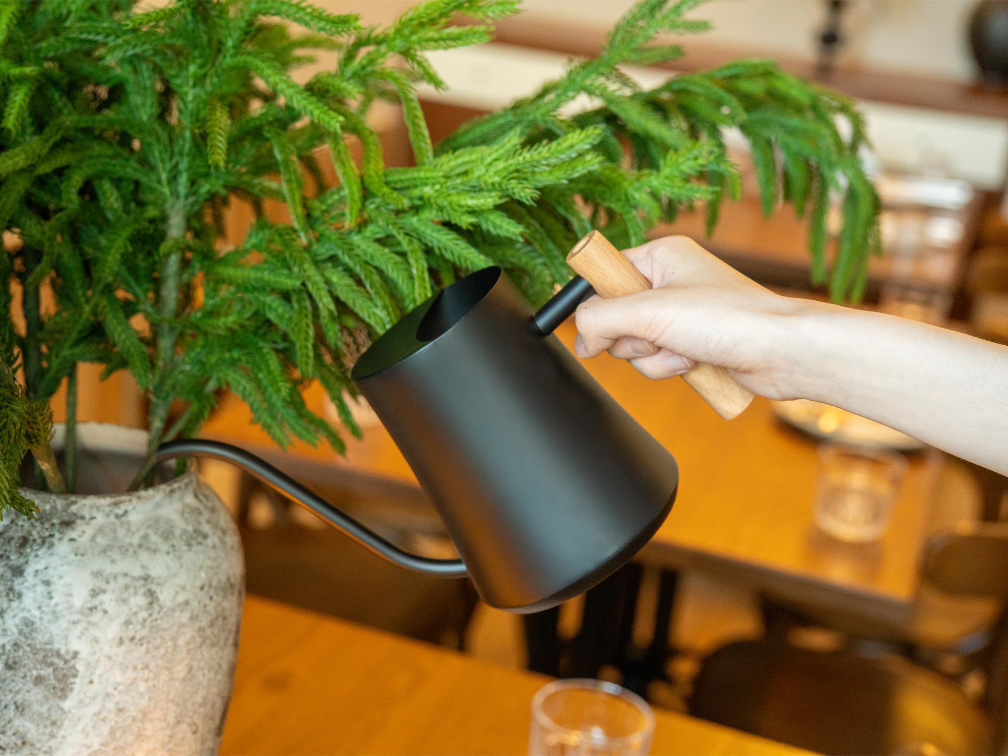 Green Moon watering hanging plant in use for easy reach and no-spill benefit