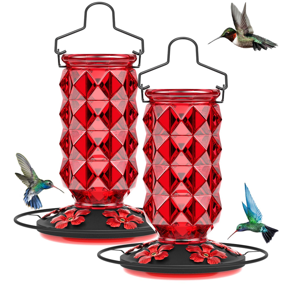 Grete Gotye front view glass feeder showing red accents and five ports for quick attraction